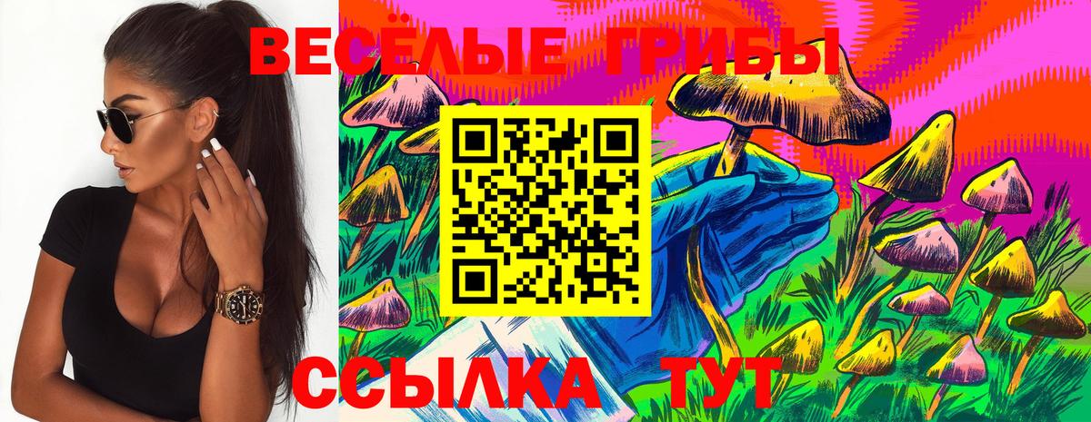 Галлюциногенные грибы мицелий Энгельс