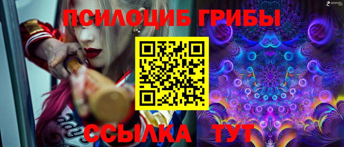 Энгельс  Галлюциногенные грибы прущие грибы  Псилоцибиновые грибы Magic Shrooms  Вход с VPN 