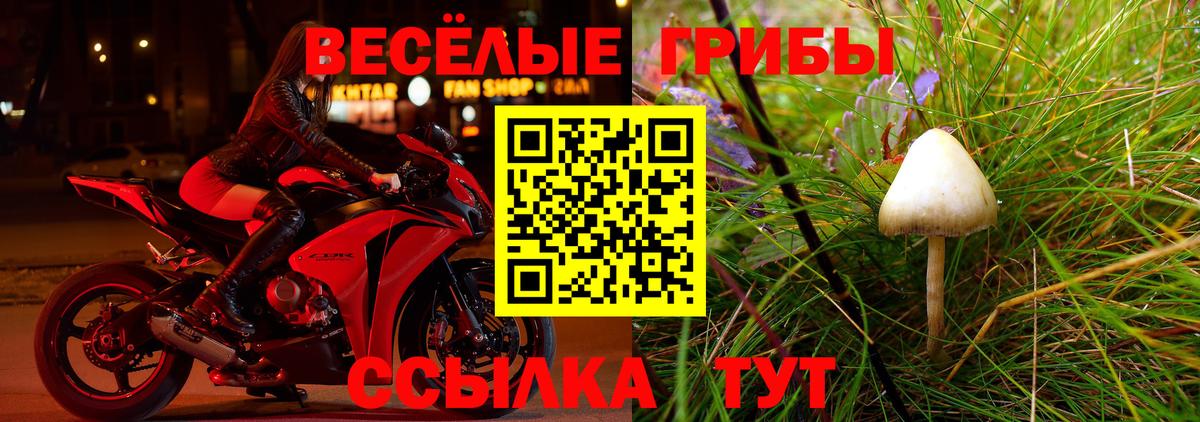 Бошки Шишки  Энгельс  Купить наркотик  Амфетамин   Кокаин  APVP СОЛЬ кристаллы  Меф   МЕФ   Гашиш  Экстази 
