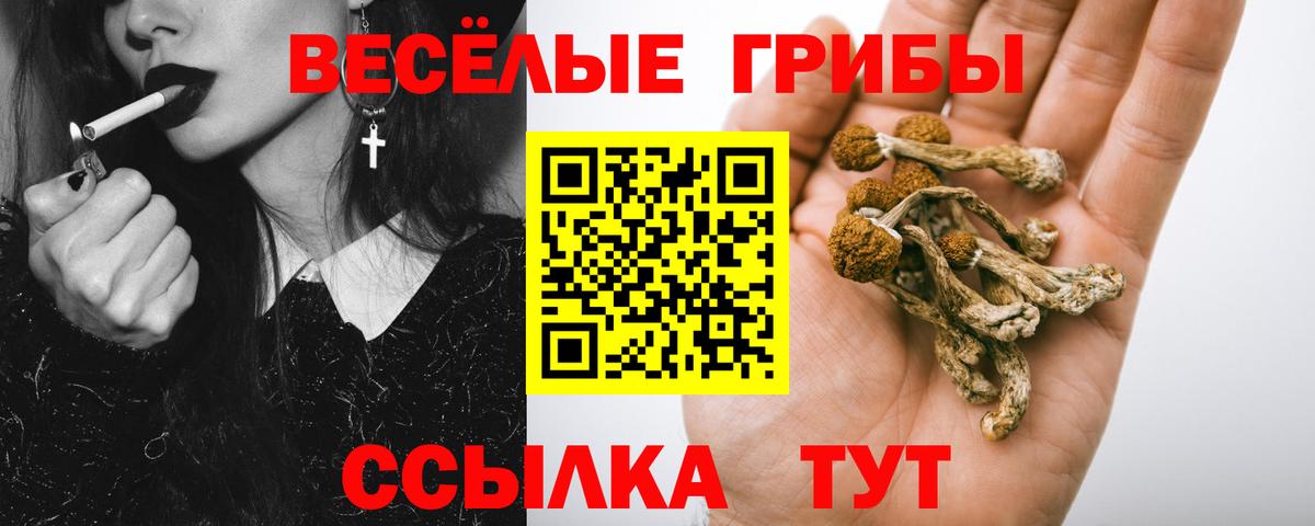 Галлюциногенные грибы прущие грибы  даркнет сайт  Псилоцибиновые грибы Magic Shrooms  Энгельс 