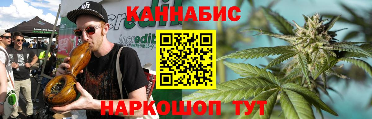 Канабис семена Энгельс